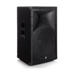 Bishopsound Alpha 15" 2 way FOH speaker (8-ohm)